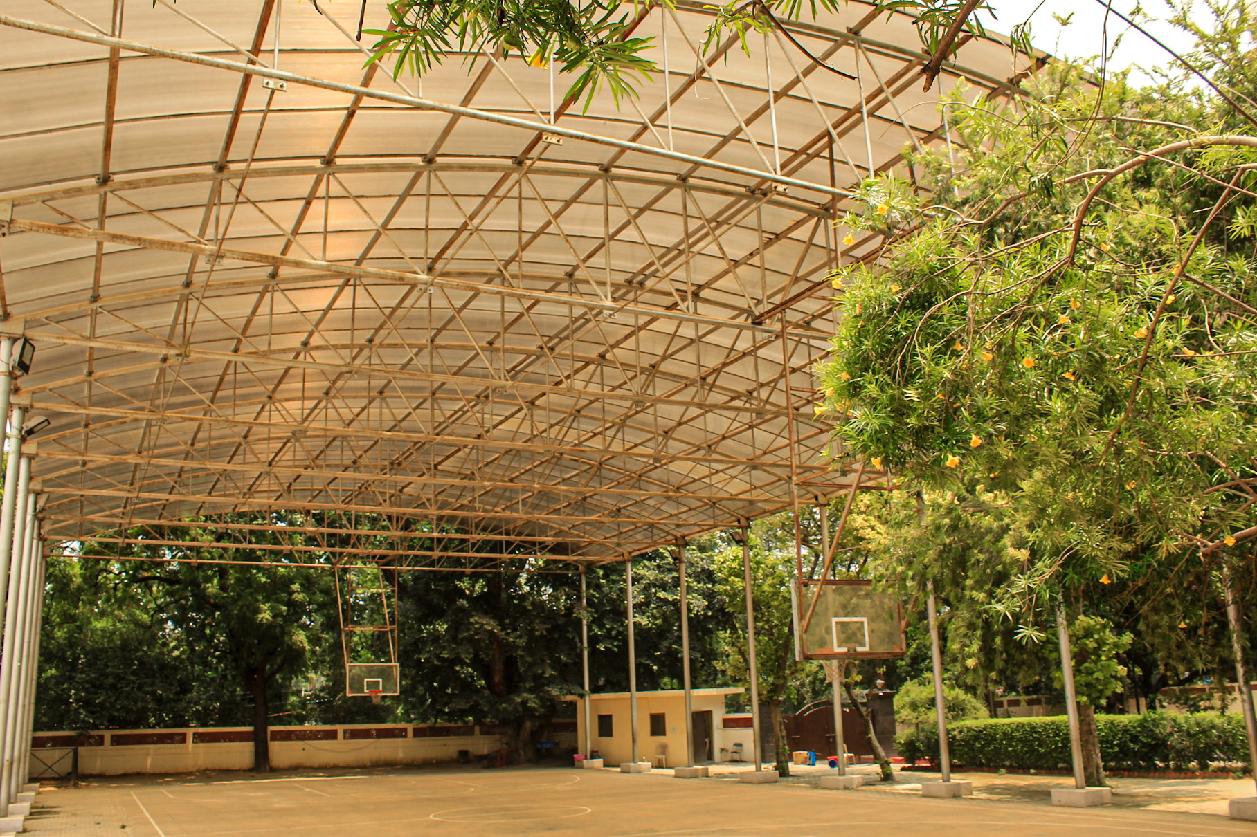 Basketball